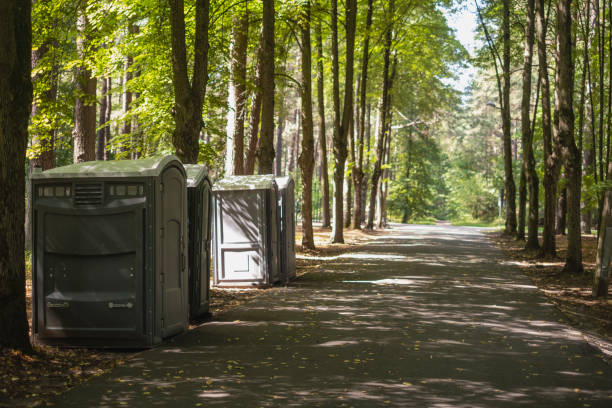 Best Affordable portable toilet rental  in Wellsburg, WV