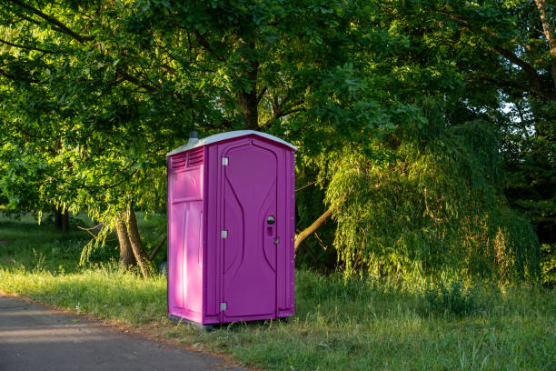 Best Affordable porta potty rental  in Wellsburg, WV